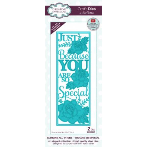 you are so special - slimline die set - sue wilson CED1267