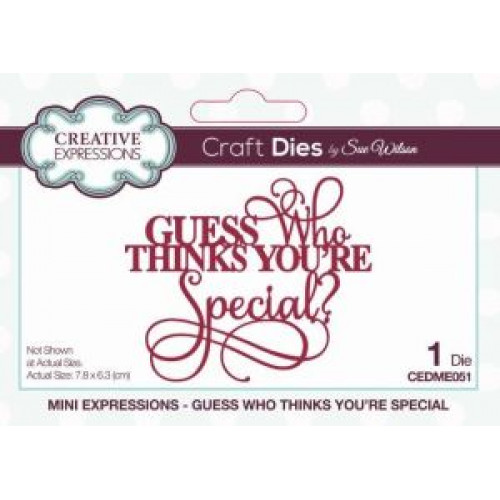Guess Who Thinks You're Special - Mini Expressions